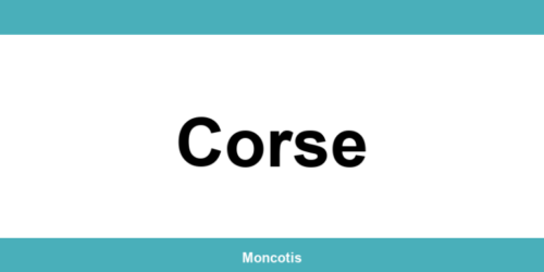 Urssaf Corse: numéro de téléphone et contact